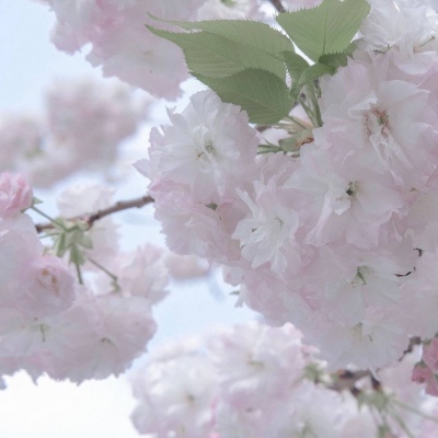 Furry角色比例设计Furry群